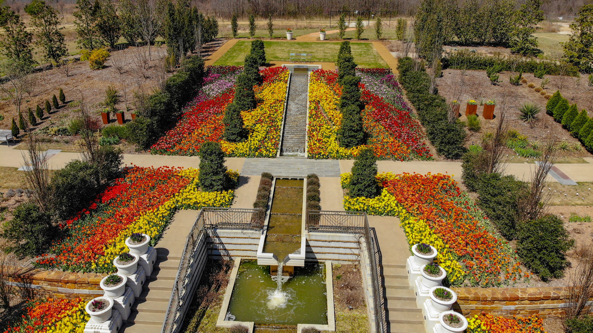 Garden of Lights